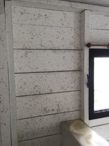 Mold On Wall Of Playhouse
